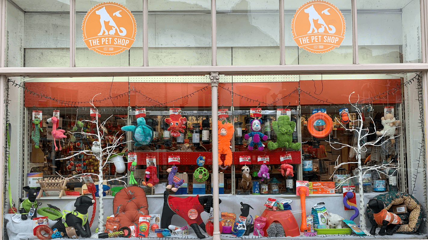 The Pet Shop - Pet Shops in ripon