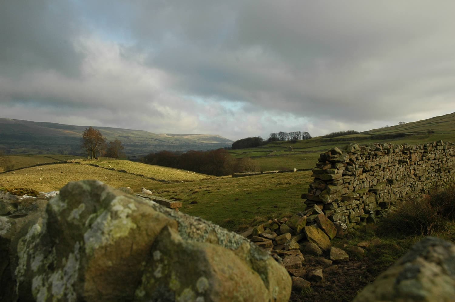 River Mountain Experience - Activity in leeming bar