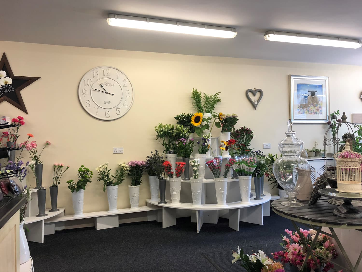 Roots and Shoots Florist - Shop in charltons