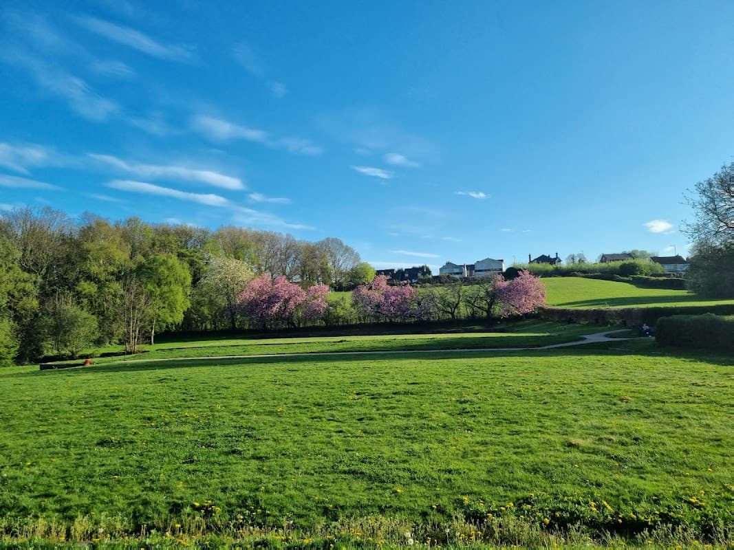 Lush green park with blooming cherry trees, rolling hills, and a clear blue sky in Rotherham, Yorkshire.