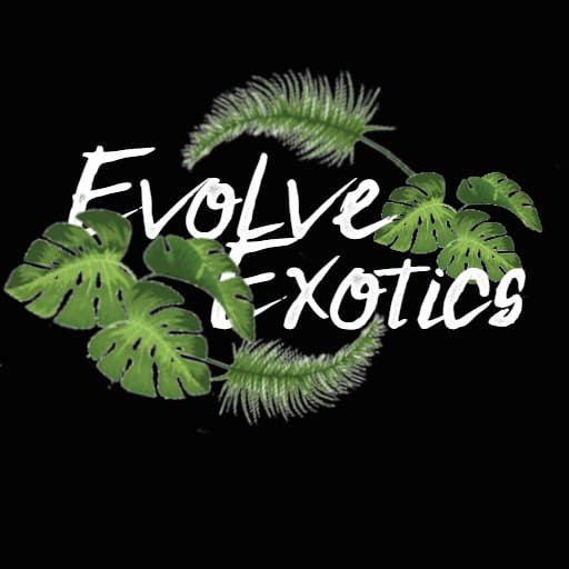 Evolve Exotics - Pet Shops in rotherham