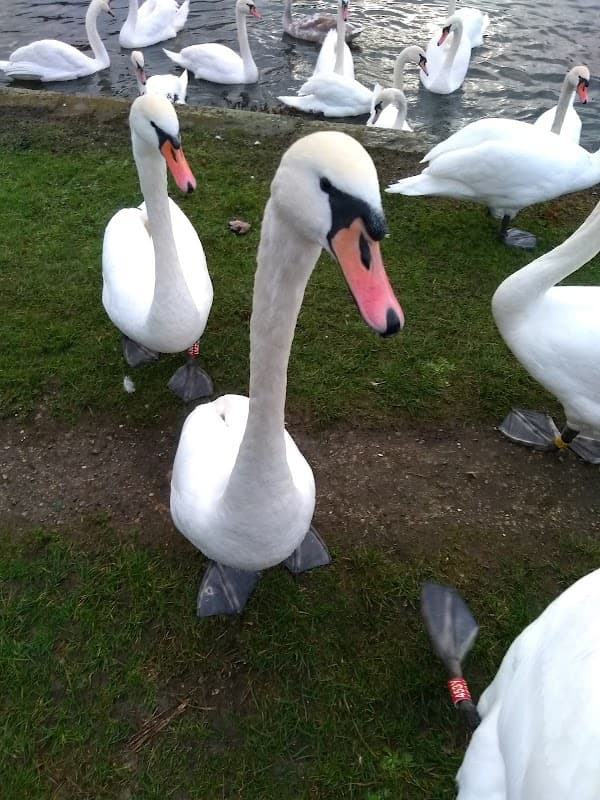 E.W.L Canal Society - Marinas in rotherham