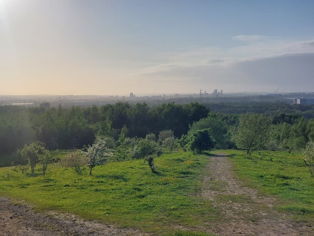 Lush green landscape with a dirt path leading down, overlooking distant city skyline under a clear sky.