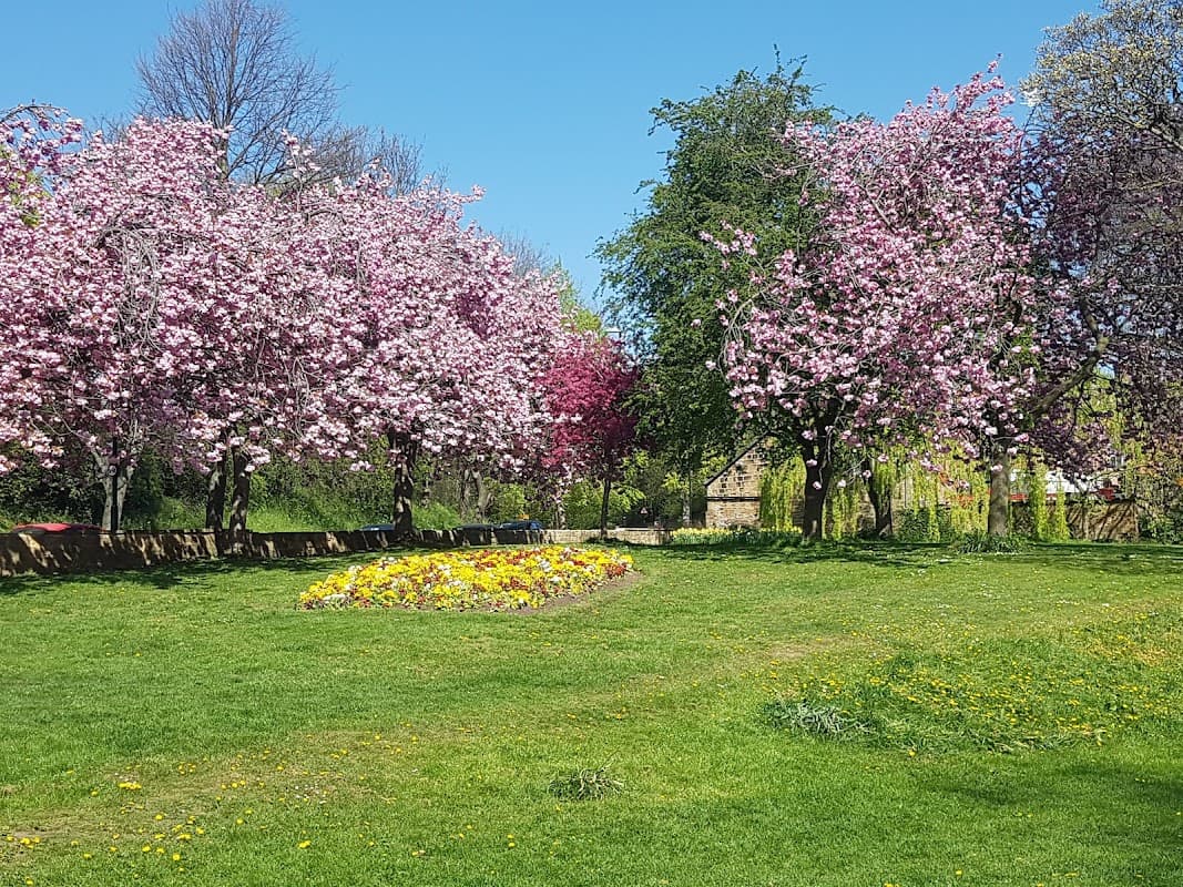 Blossoming cherry trees surround a vibrant flower bed on a sunny day in Springhead Park, Rothwell.