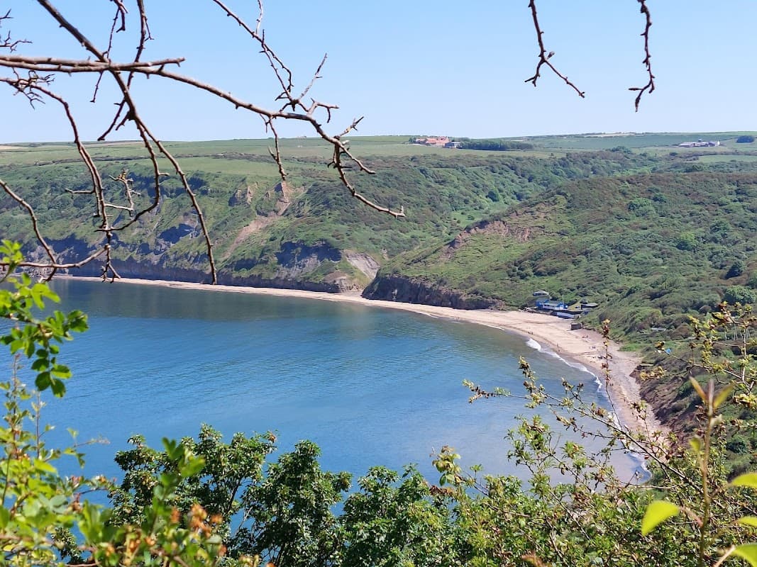 Scenic view of Runswick Bay with cliffs, beach, and calm waters under a clear blue sky.