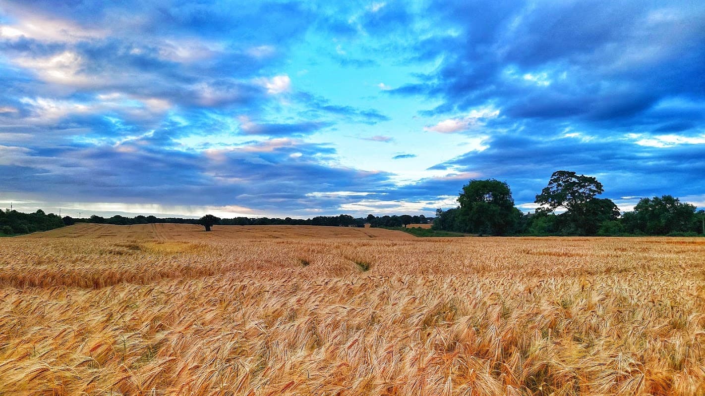 Anglers Country Park - Bus Stops in ryhill