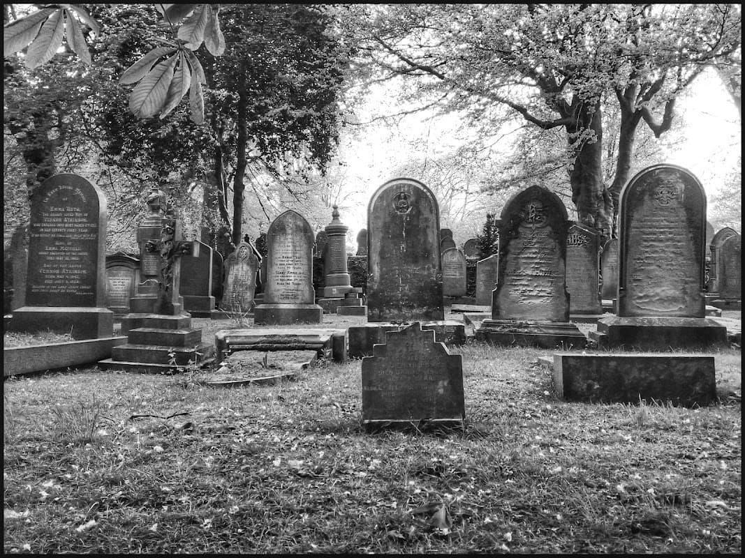 Dean Road Cemetery - Cemeteries in scarborough