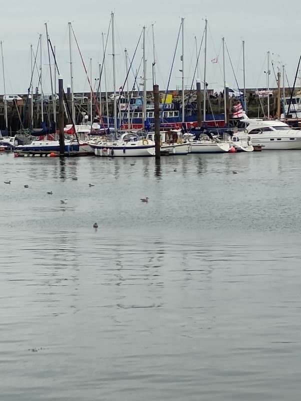Scarborough cutz - Barbers in scarborough