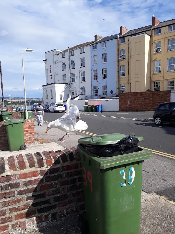 Accommodation at Thornhurst Bed and Breakfast in scarborough