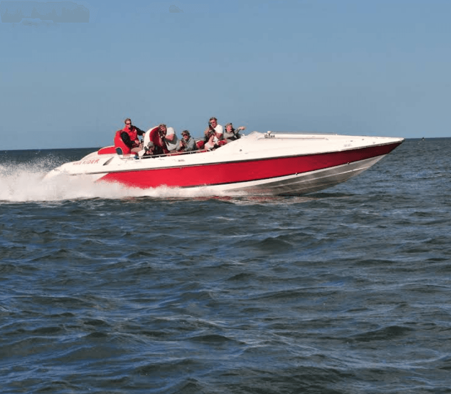 Wave Rider & Wave Runner - Attraction in scarborough