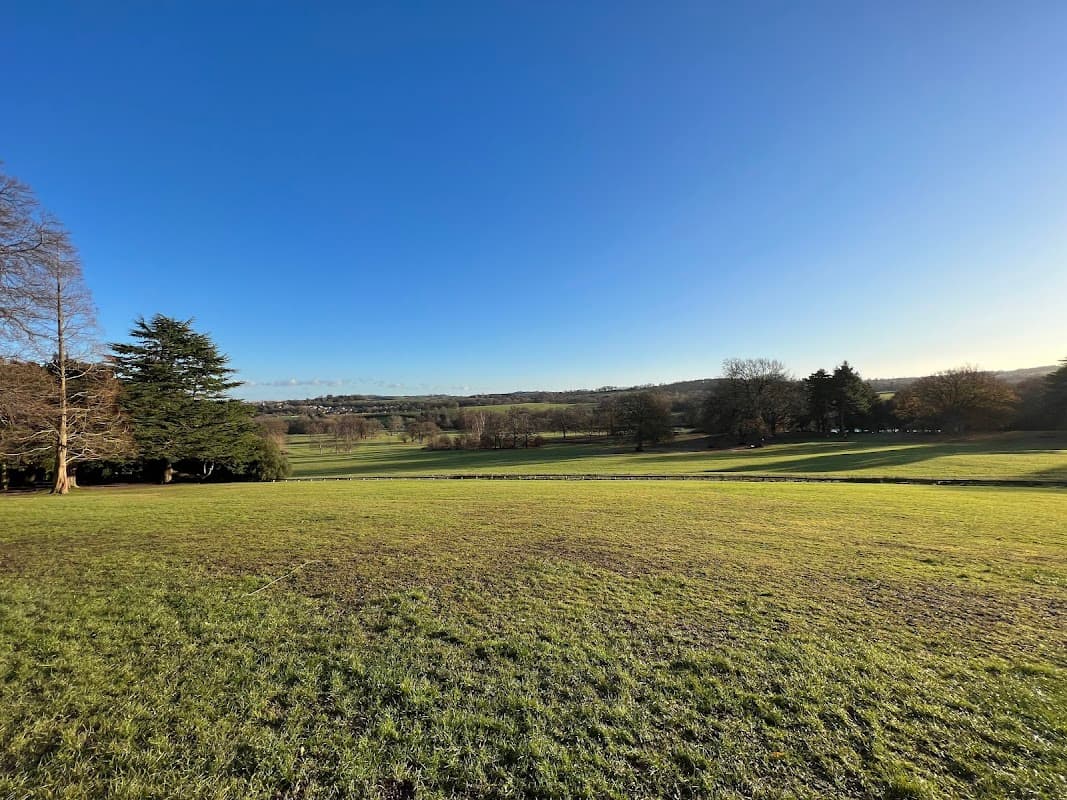 Expansive green field with trees under a clear blue sky at Cannon Hall Country Park.