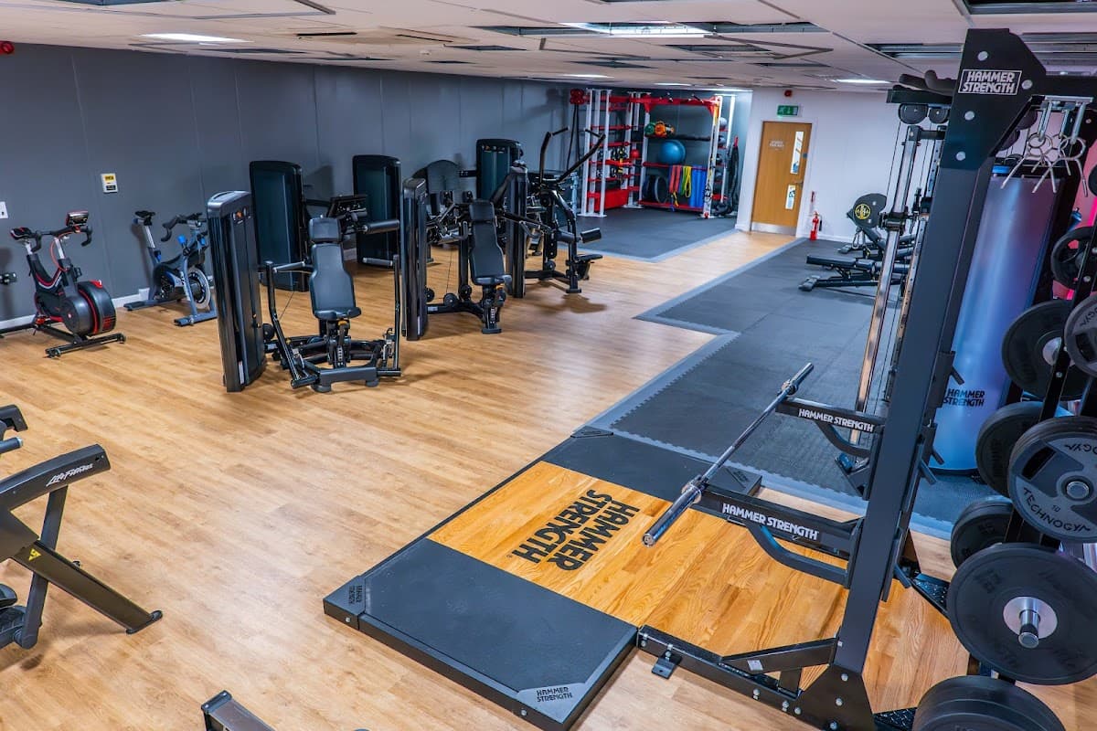 Modern gym interior featuring various weightlifting machines, exercise bikes, and free weights on wooden flooring.