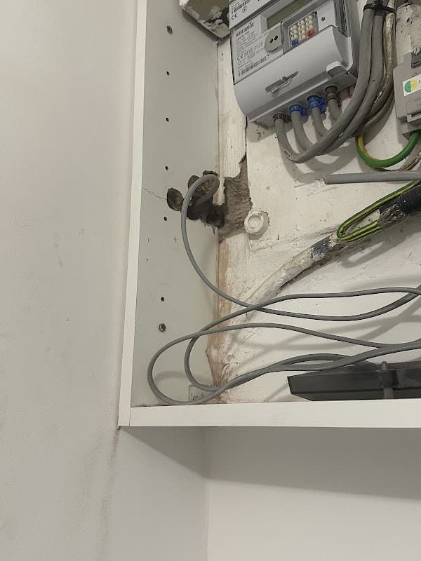 Kendra Electrical Services LTD - Electricians in selby