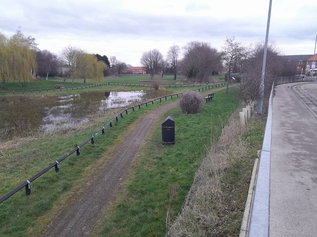 Selby Wildlife Pond - Nature Reserves in selby