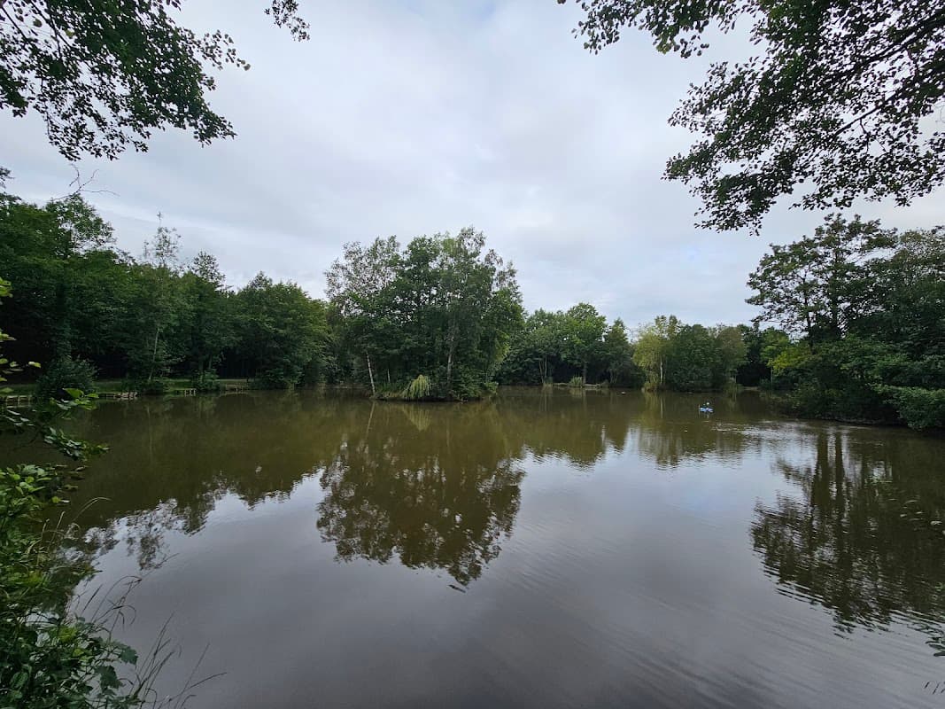 Serene lake surrounded by lush greenery and trees, reflecting the cloudy sky in Sessay, Yorkshire.