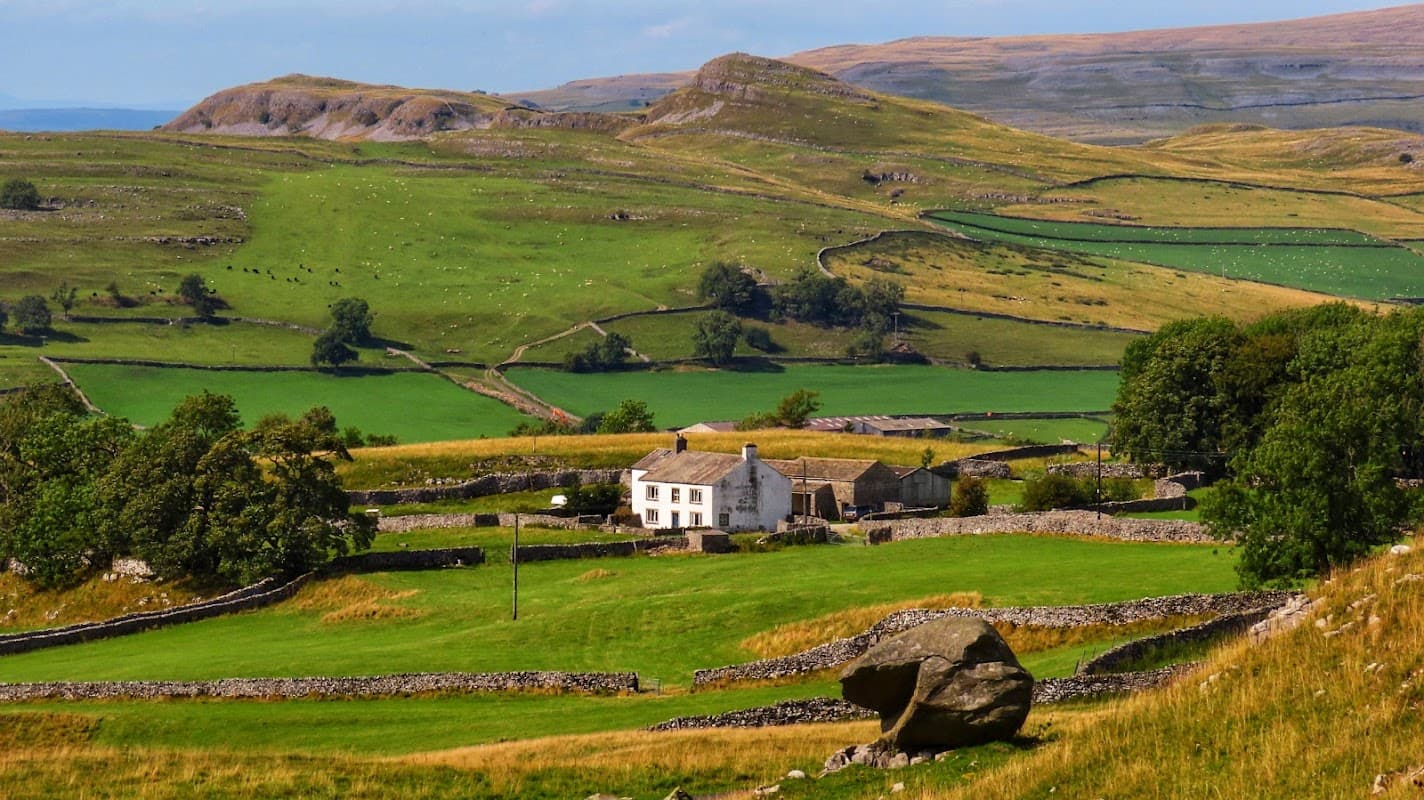 Plantlife Winskill Stones Nature Reserve - Nature Reserves in settle