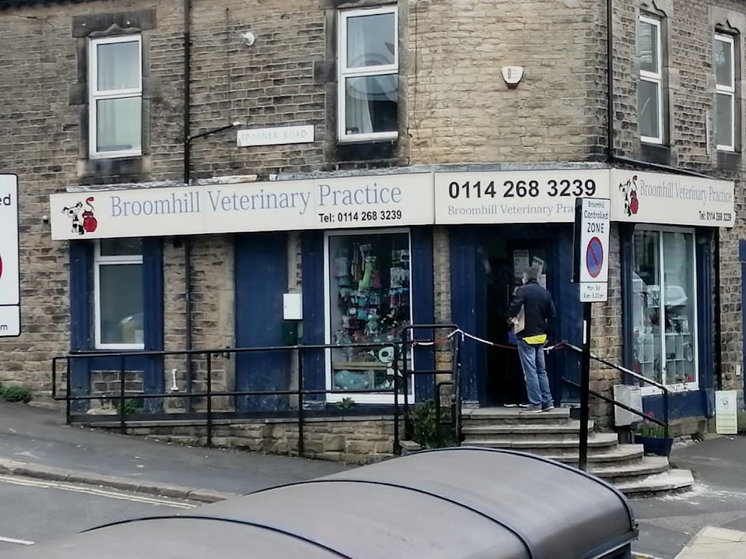 Broomhill Veterinary Practice - Vets in sheffield