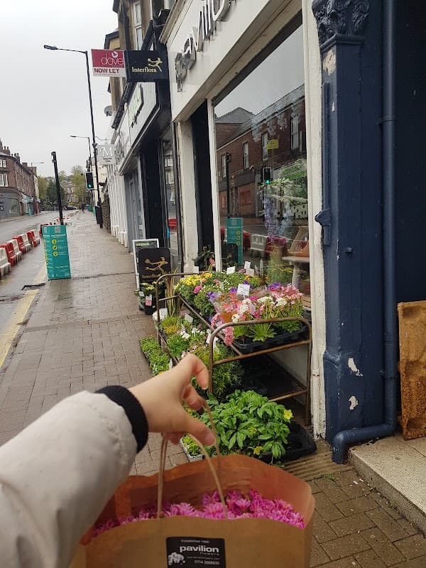 Pavilion Flowers - Florists in sheffield