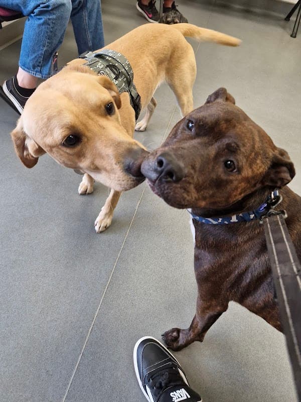 Peak Vets - Vets in sheffield