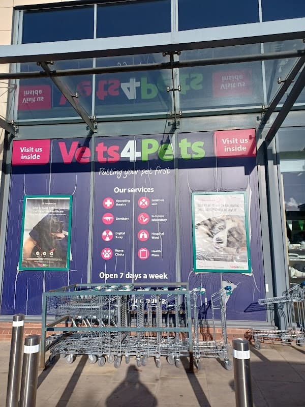 Vets for Pets - Sheffield Wadsley Bridge - Vets in sheffield