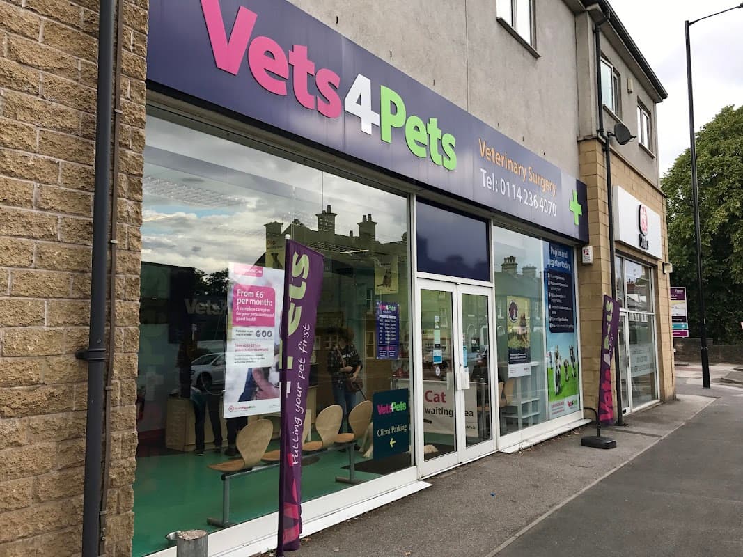 Vets4Pets - Millhouses - Vets in sheffield