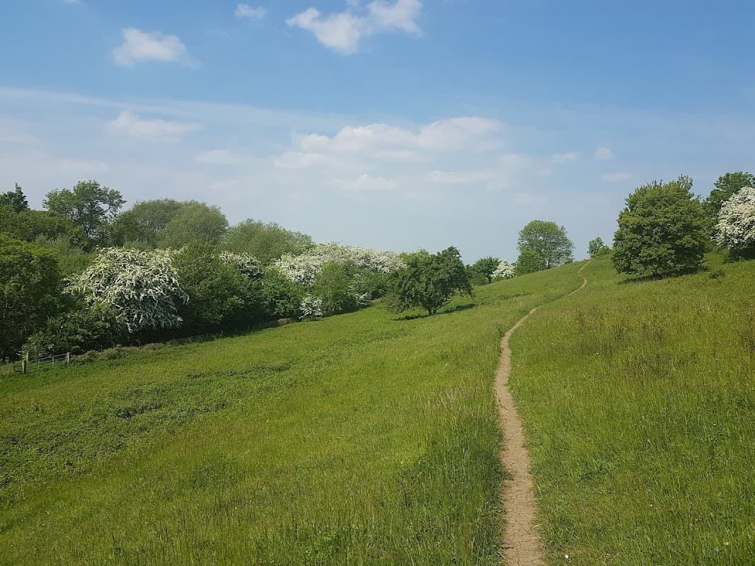 Lush green landscape with a winding path, trees, and white flowering shrubs under a blue sky with scattered clouds.