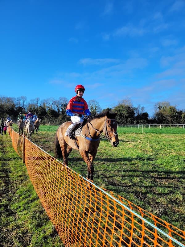 Jockey in red and blue silks riding a horse along a field with a bright blue sky and spectators in the background.