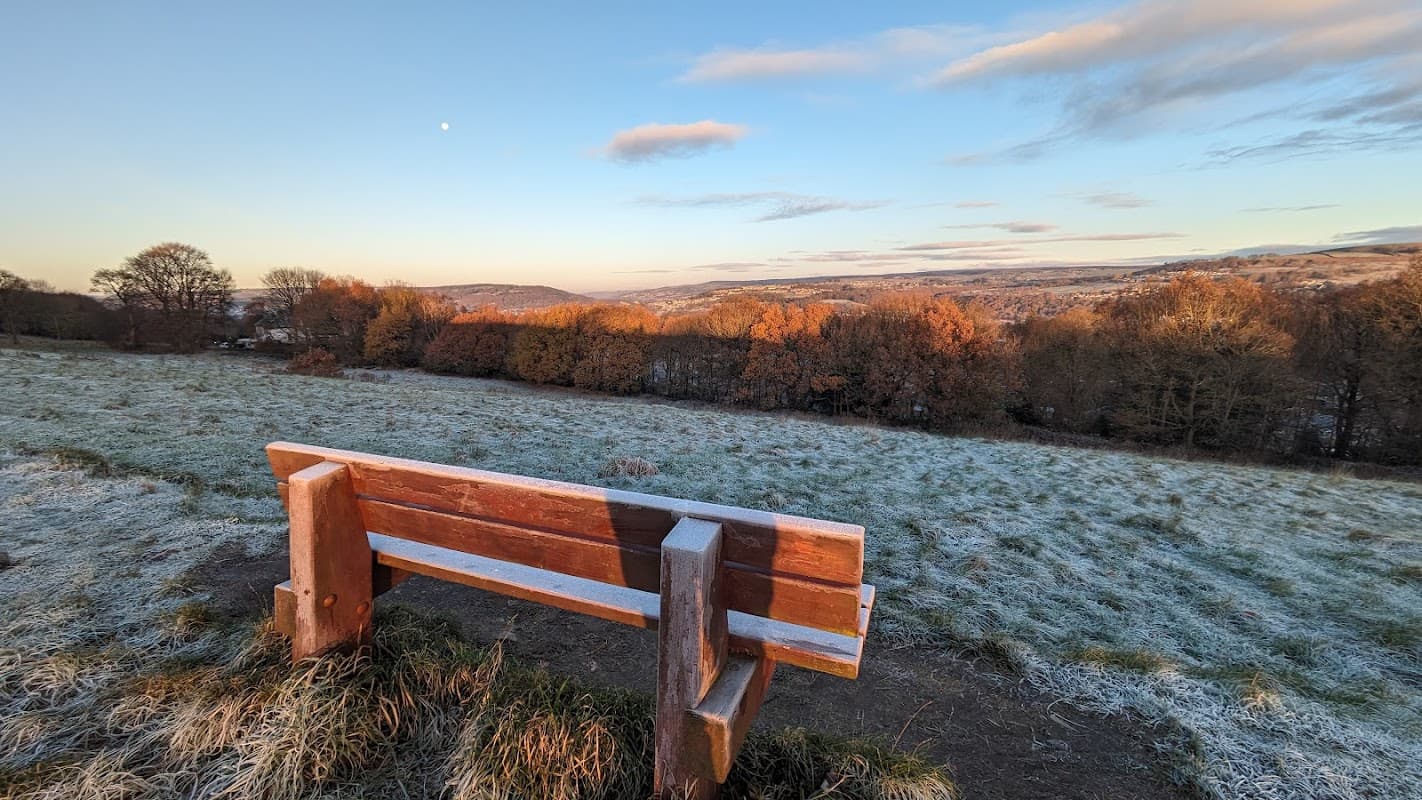 Bench of Dreams - Viewpoints in shipley