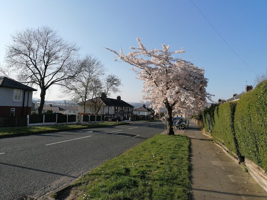 Bus Stop at Owlet Rd Hollin Road - Bus Stops in shipley