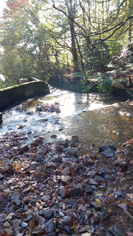 Crag Hebble Dam - Historic Site in shipley