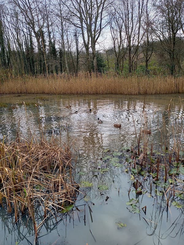 Denso Marston Nature Reserve - Nature Reserves in shipley