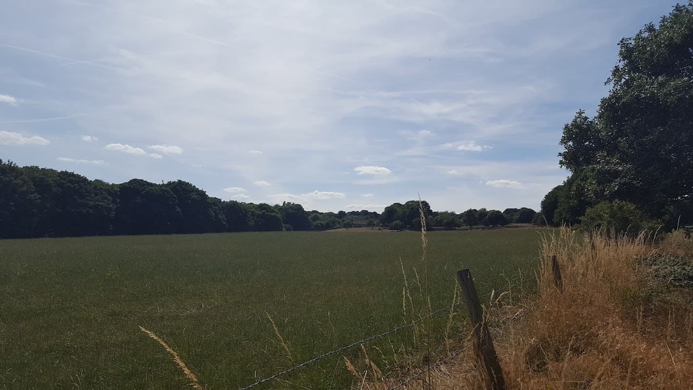 Heaton Royds School - Primary Schools in shipley