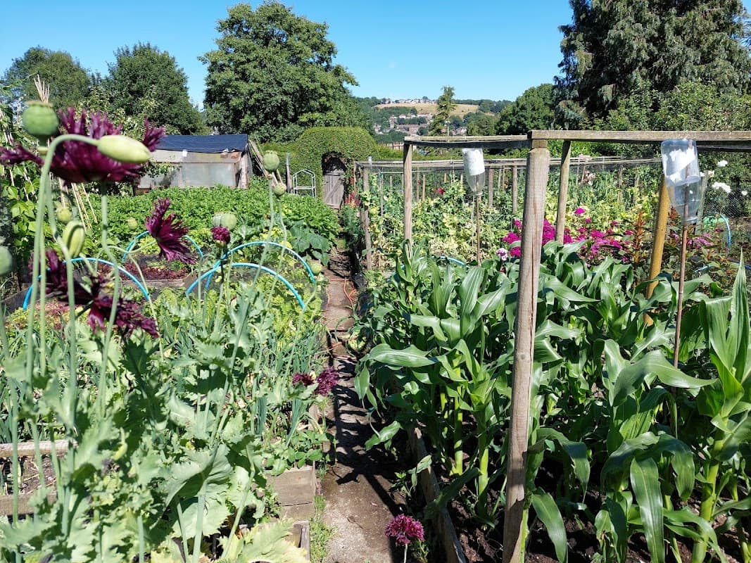 Northcliffe Allotments - Bottom site