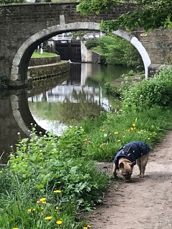 Accommodation at River Airebnb rooms in shipley