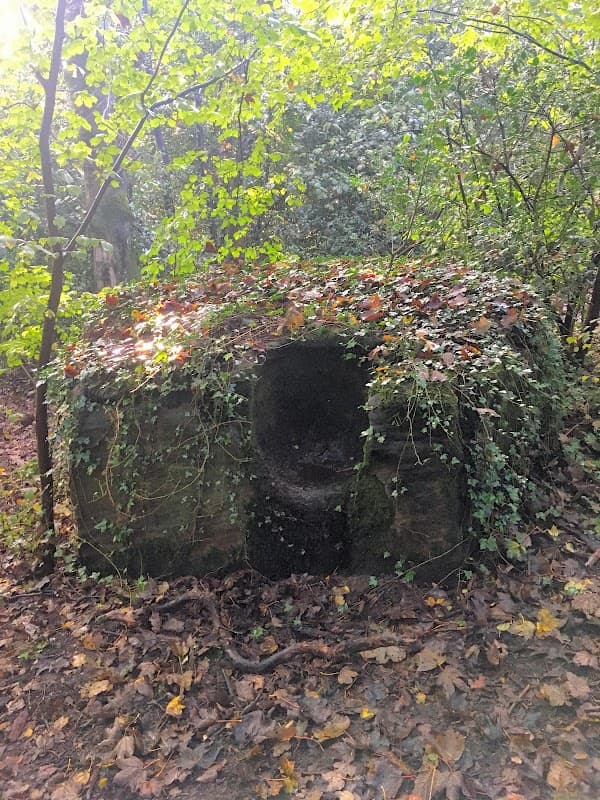 Robin Hood's Chair (Druids chair) - Historic Site in shipley