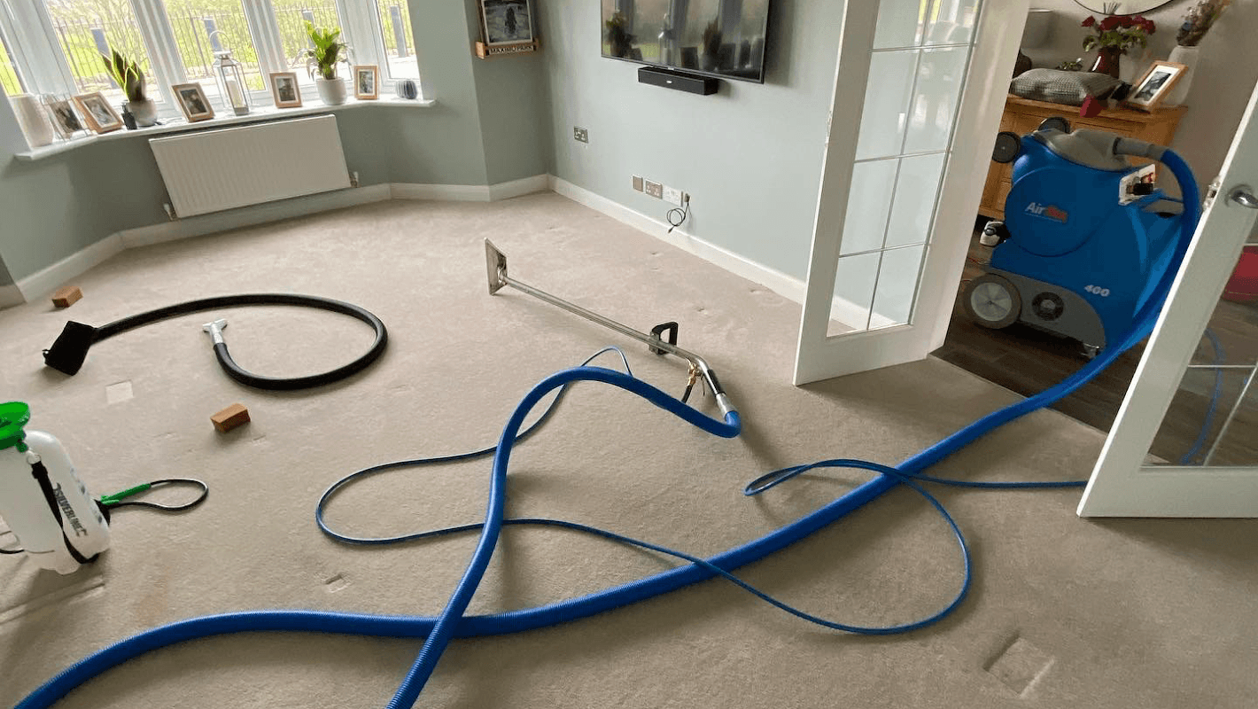 The City Cleaners - Carpet Cleaners in shipley