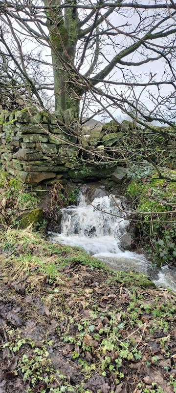 Brunthwaite Waterfall - Waterfalls in silsden