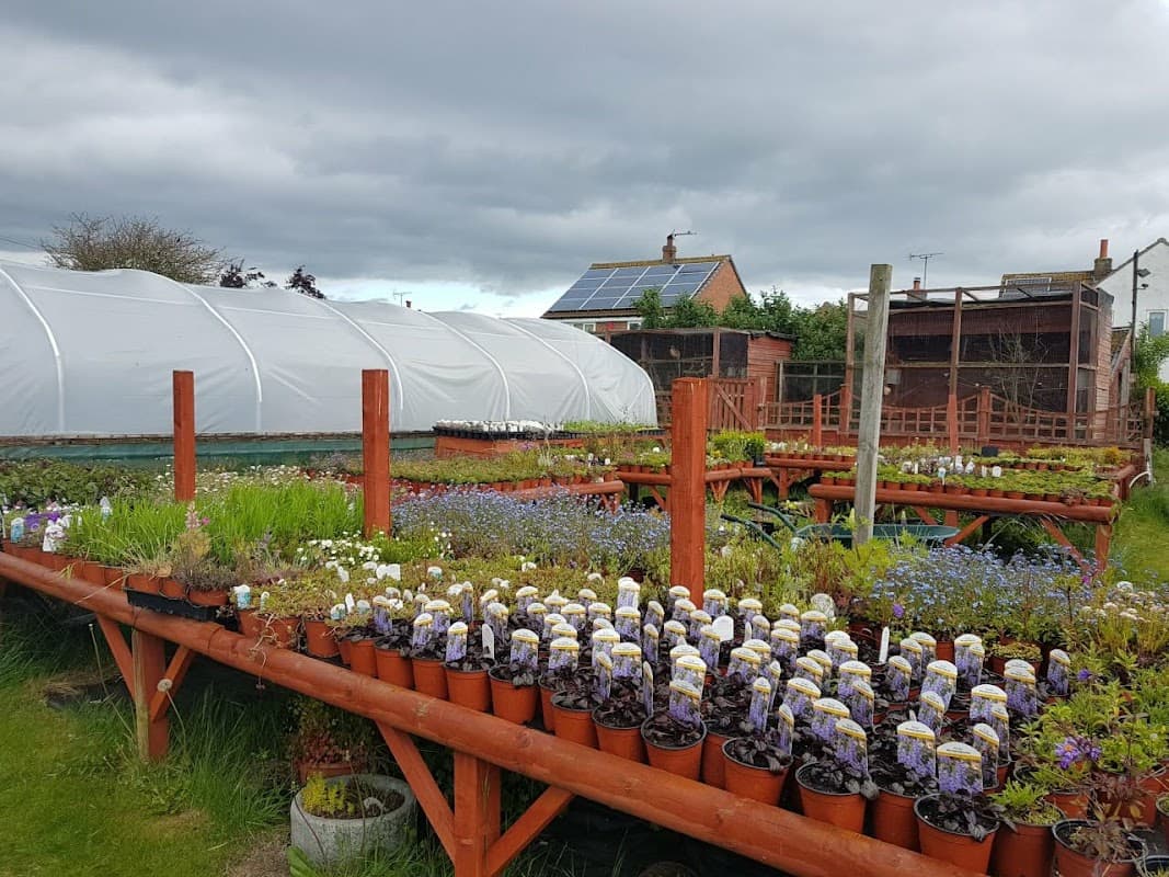 Lush plant nursery with rows of potted flowers, greenhouses, and a cloudy sky in Skerne, Yorkshire.