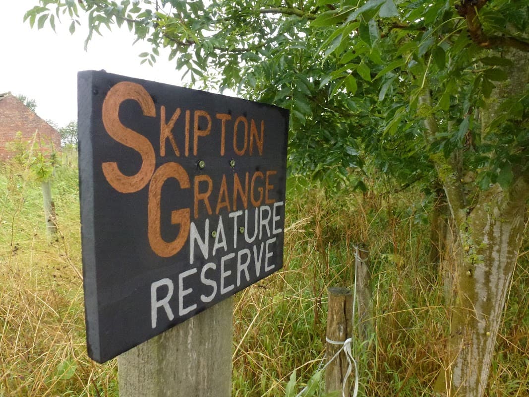 Skipton Grange Farm - Park in skipton on swale