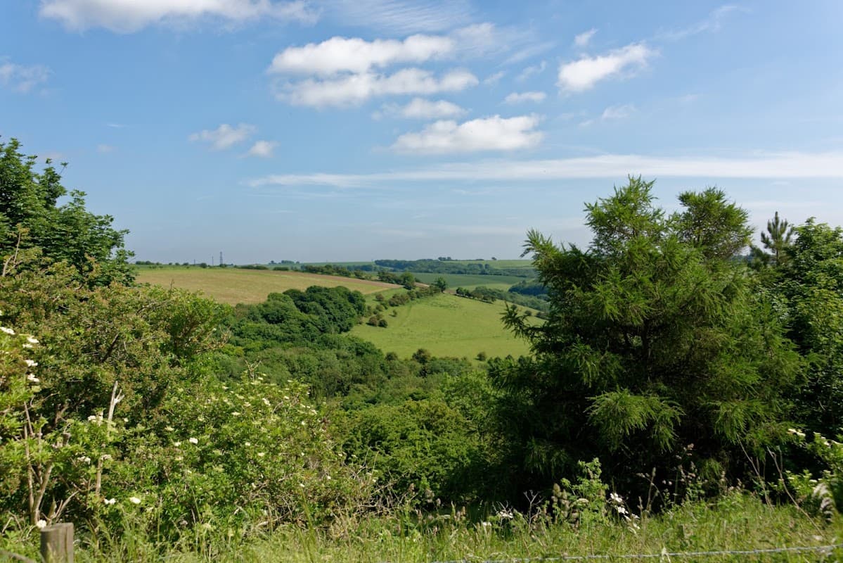 Lush green hills and fields under a blue sky with scattered clouds, framed by trees and shrubs in the foreground.