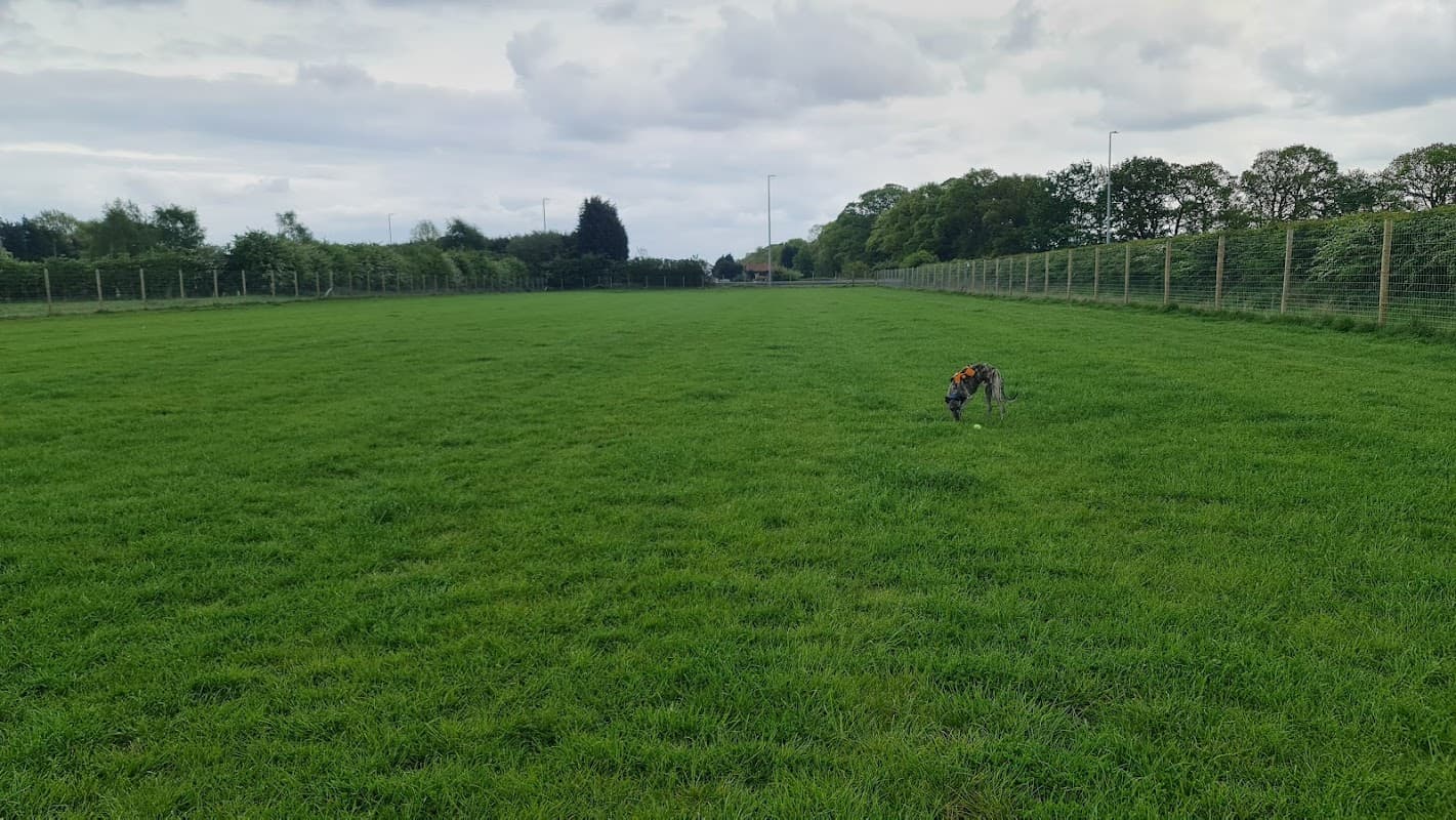 A spacious green field with a dog sniffing around, surrounded by trees and a fence in South Cave, Yorkshire.
