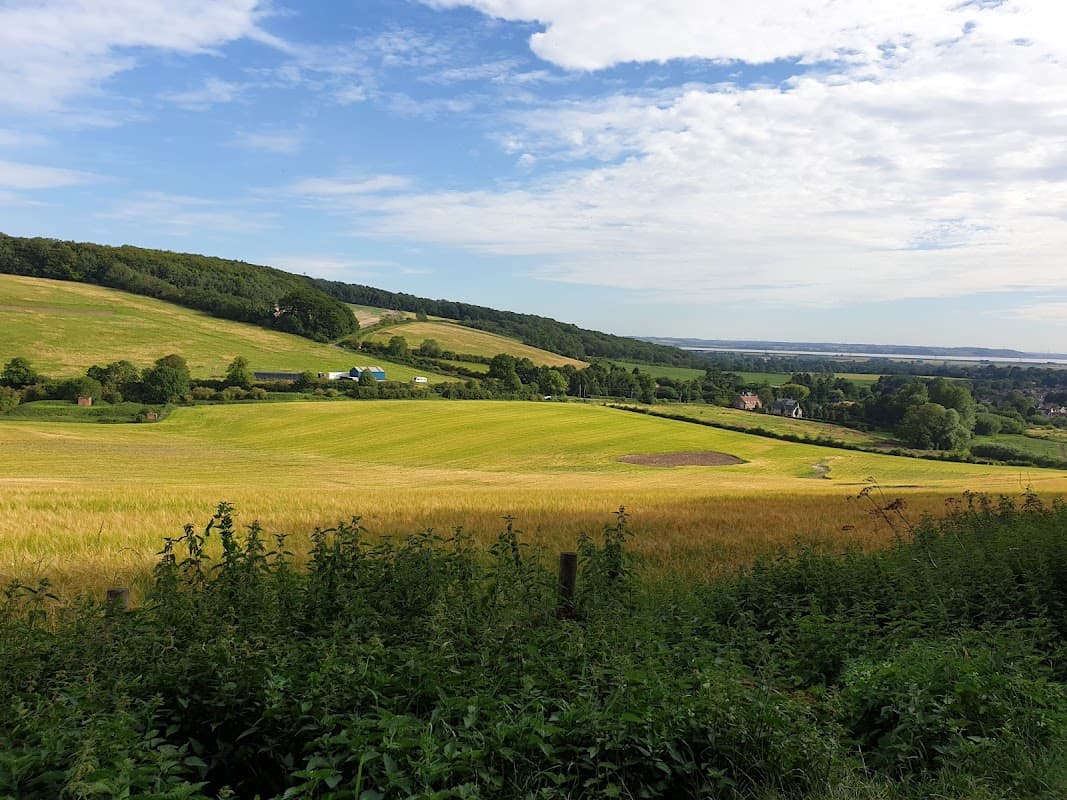 Lush green hills and fields under a blue sky, with a distant view of houses and trees in South Cave, Yorkshire.