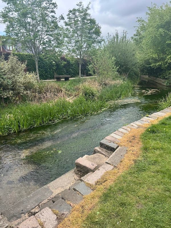 A tranquil footpath alongside a clear stream, bordered by lush greenery and trees in North Cave Hotham Park.