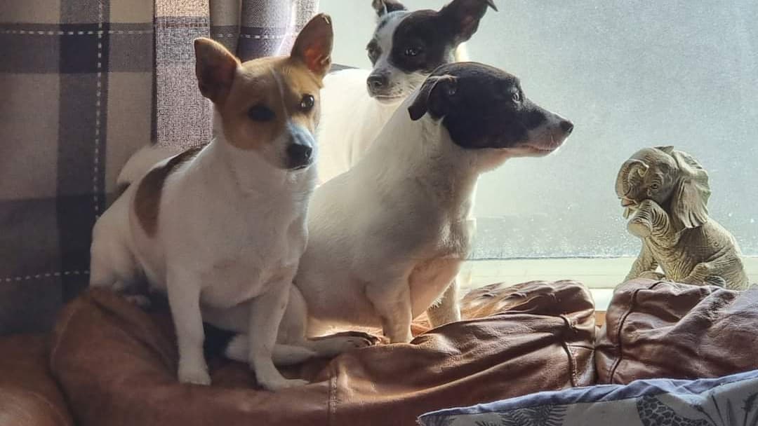 Mia's Crafting Corner