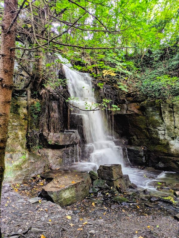 A serene waterfall cascading over rocky ledges, surrounded by lush greenery and trees in a tranquil setting.