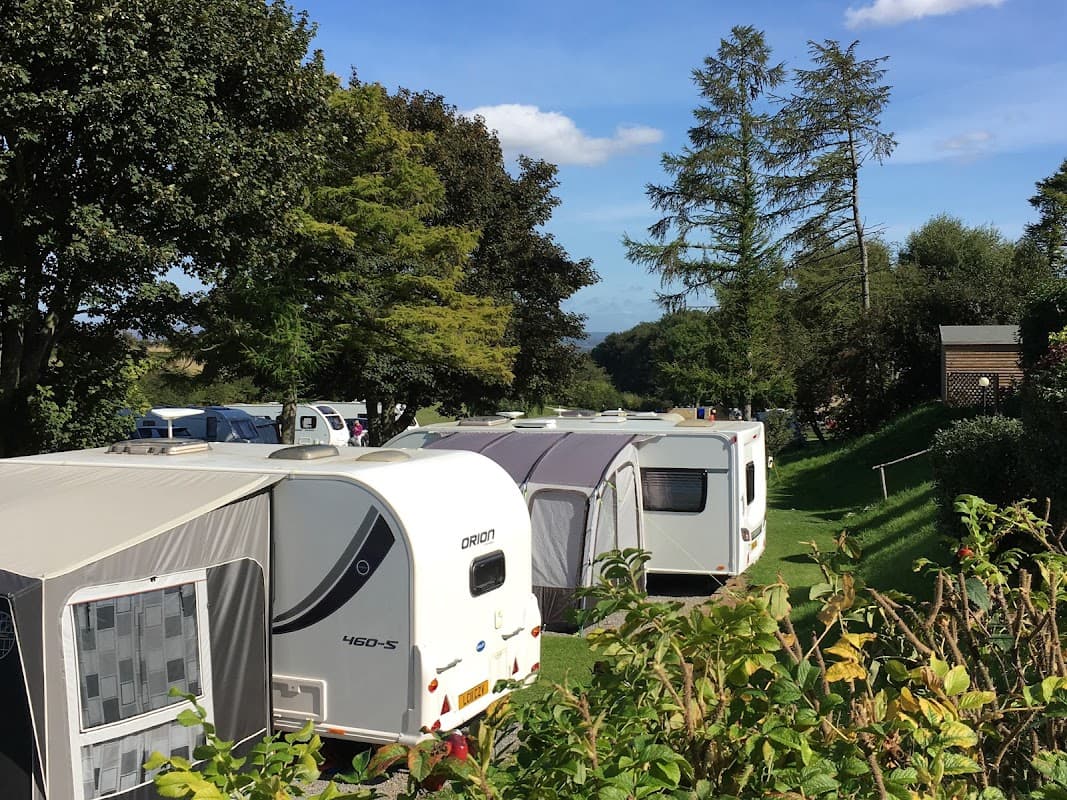 Caravans parked on green grass, surrounded by trees and blue sky at Golden Square Caravan Park in Sproxton.