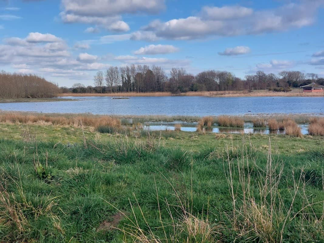 Lush green grass borders a serene lake, surrounded by trees and cloudy blue skies at Staveley Nature Reserve.