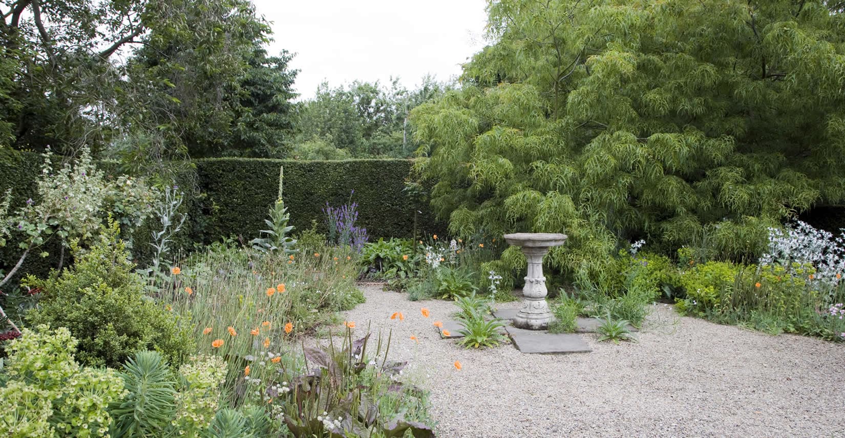 Stillingfleet Lodge Gardens and Nurseries - Garden in york