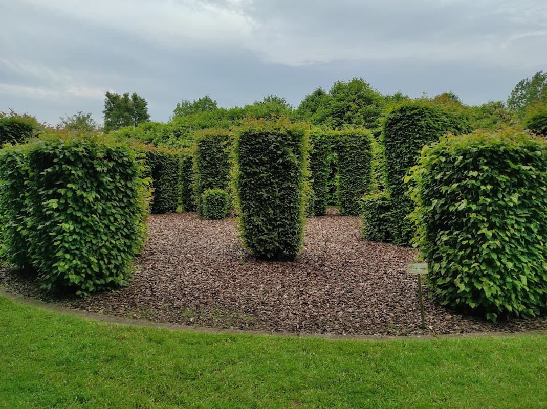 Lush green hedges shaped like pillars in a garden maze, surrounded by wood mulch and grassy areas under a cloudy sky.