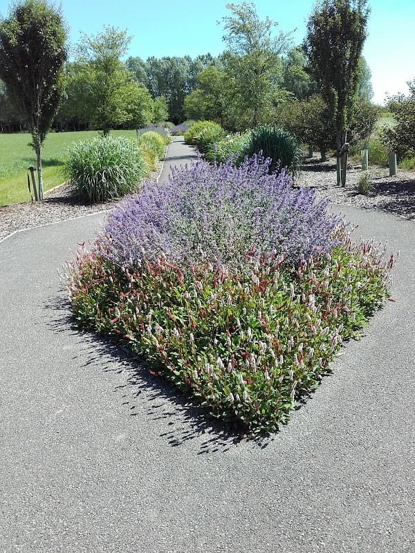 Ebor GT - Car Dealers in stockton on the forest